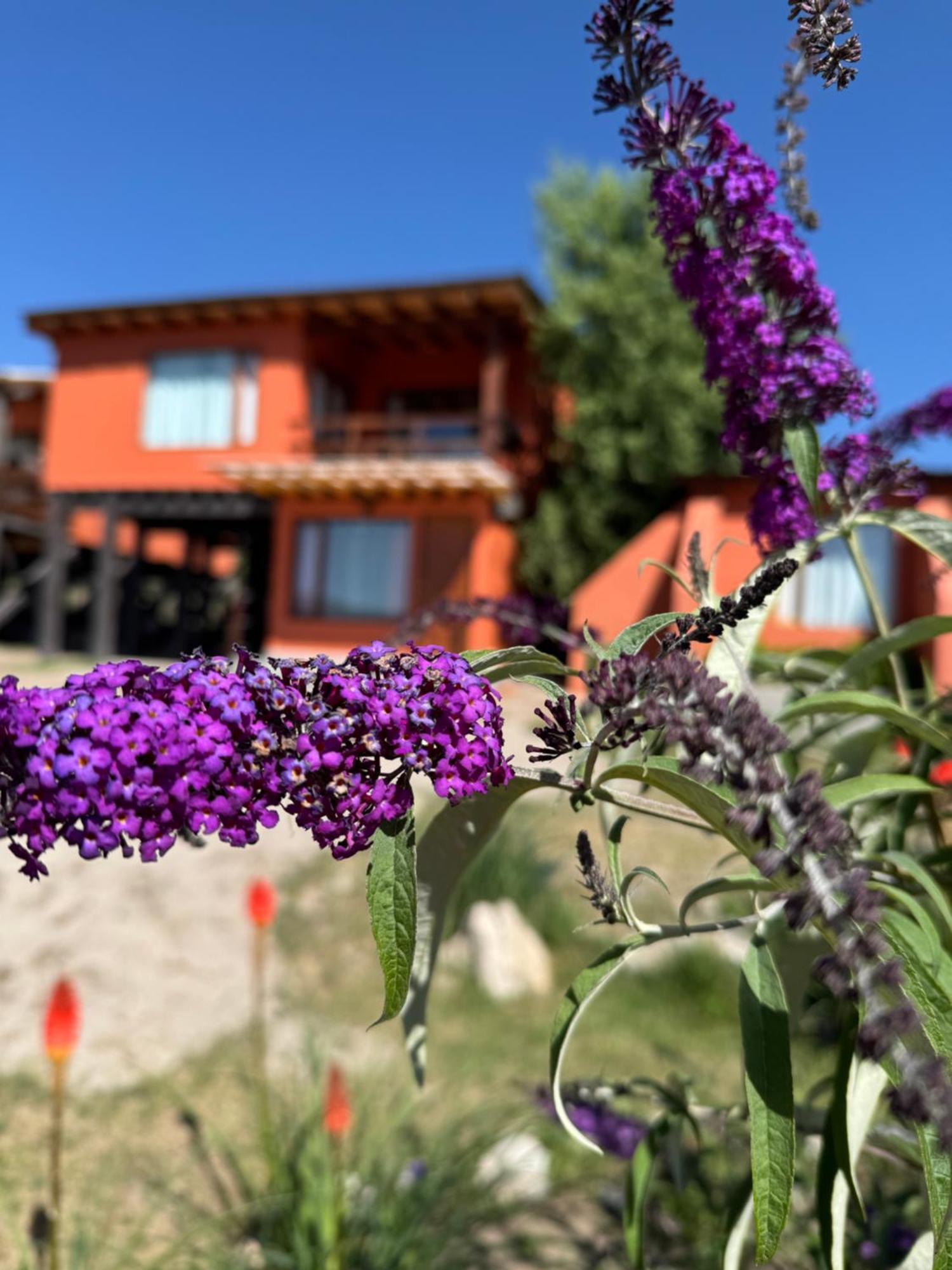 Cabana El Churqui Tafí del Valle Dış mekan fotoğraf